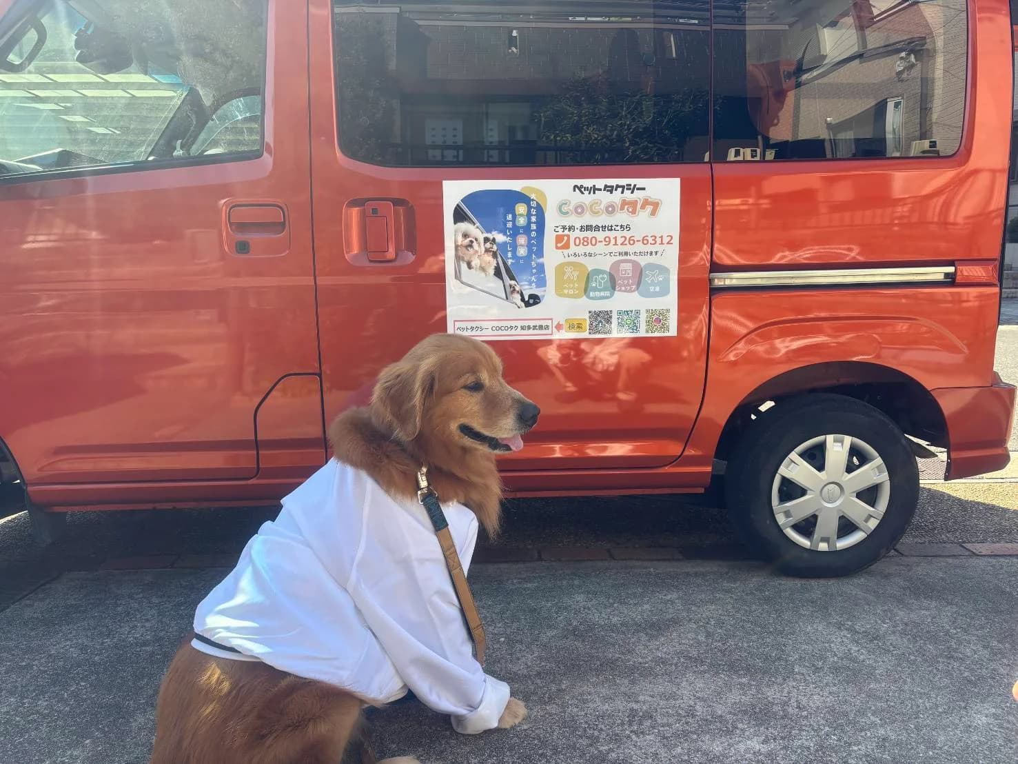 ｃｏｃｏタク知多武豊店の写真