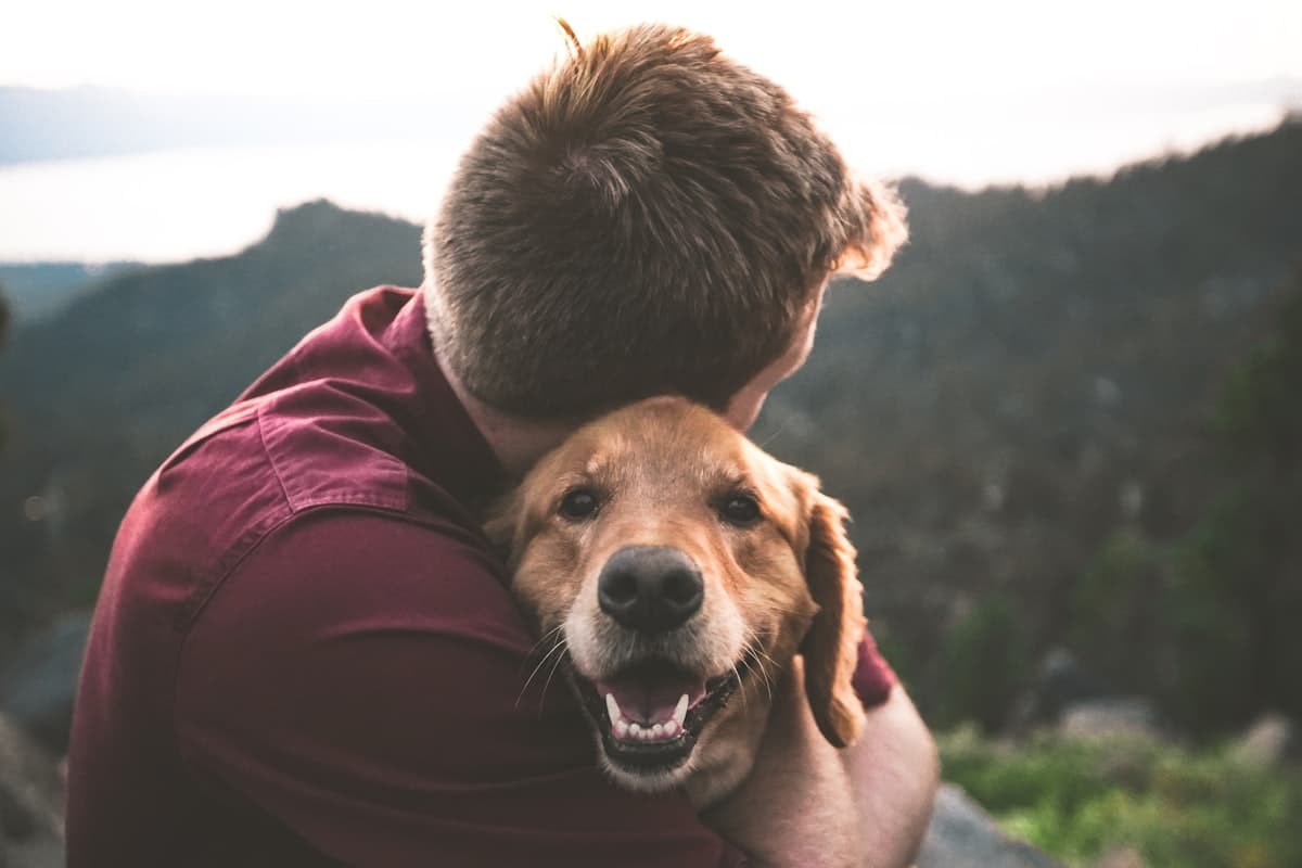 子犬