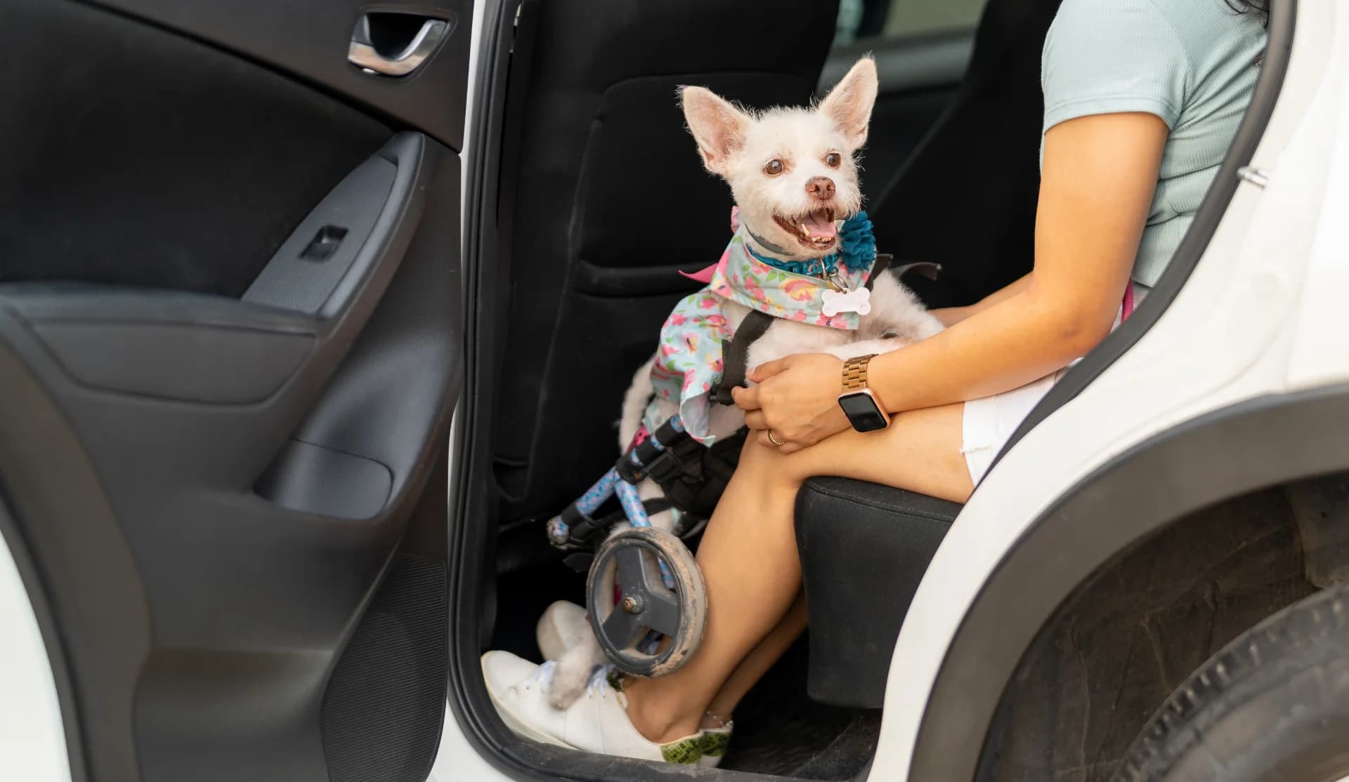 ペットタクシーCOCOタク足立店の写真