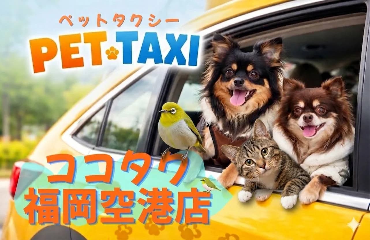 ペットタクシー ココタク福岡空港店の写真