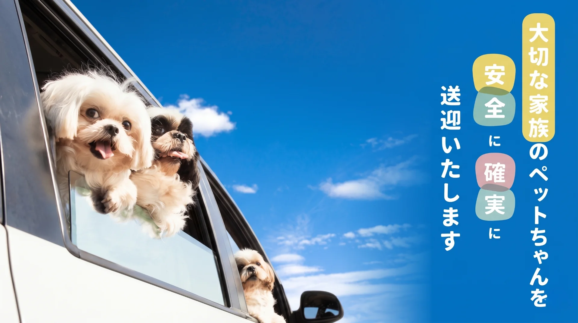 ペットタクシーCOCOタク西湘秦野の写真