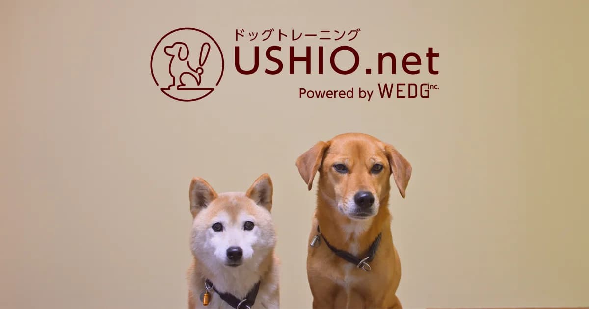 USHIO.net ドッグトレーニングの写真