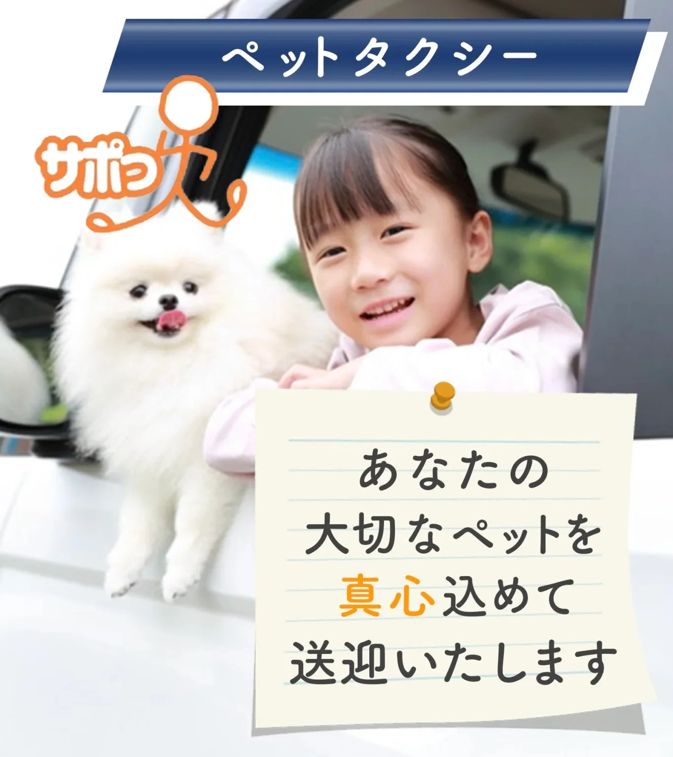 ペットタクシー/サポっ人南大阪店の写真