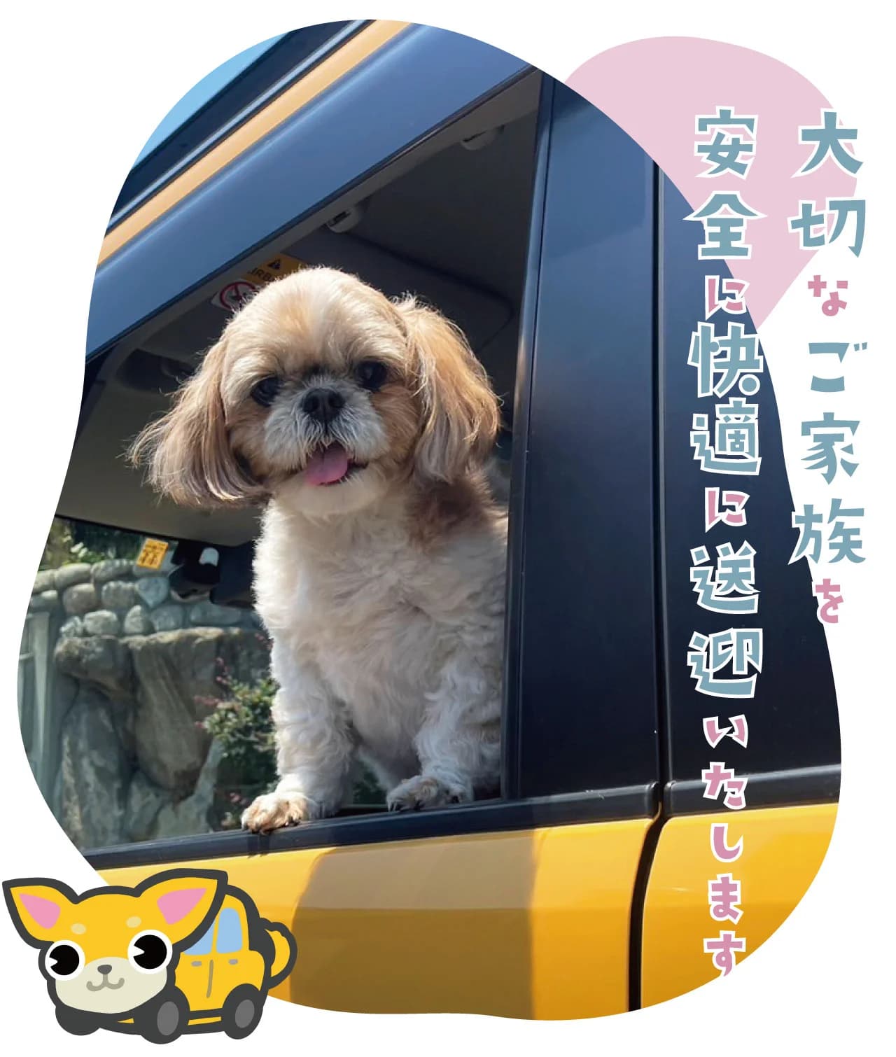 ペットタクシー千里中央店の写真