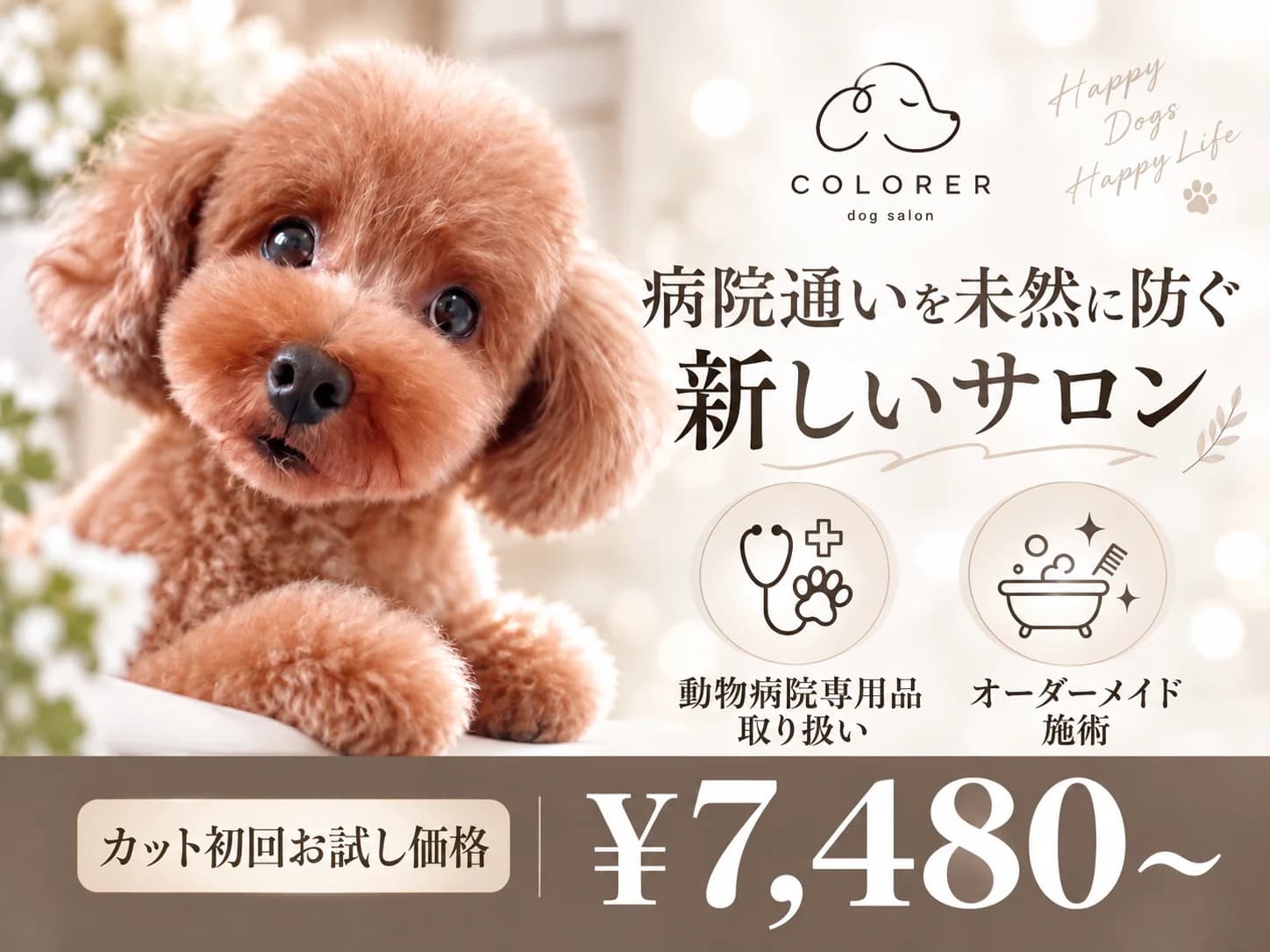 COLORER dogsalon 横浜店の写真